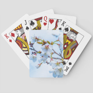 Sakura - Japanese Cherry Blossom Playing Cards
