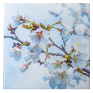 Sakura - Japanese Cherry Blossom Tile