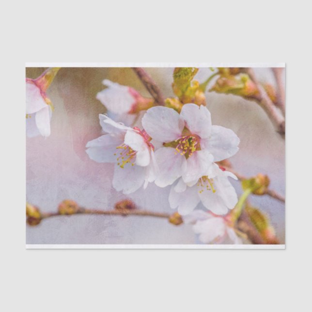 Sakura - Japanese Cherry Blossom Tissue Paper (Front)
