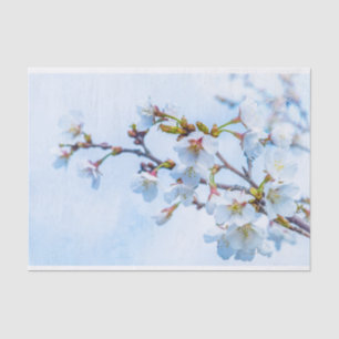 Sakura - Japanese Cherry Blossom Tissue Paper