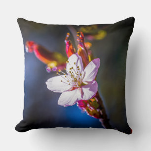 Sakura - Japanese cherry flower Cushion