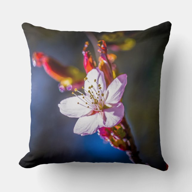 Sakura - Japanese cherry flower Cushion (Front)
