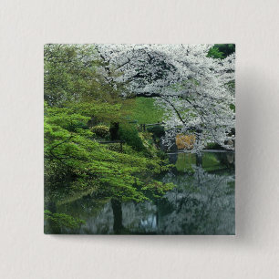 Sakura, Koishikawa Koraku-en Garden, Tokyo, 15 Cm Square Badge