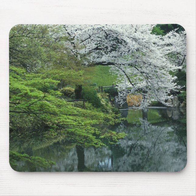 Sakura, Koishikawa Koraku-en Garden, Tokyo, Mouse Pad (Front)