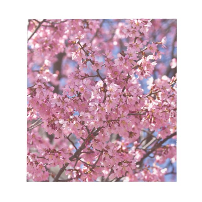 Sakura Pink Cherry Blossom Sky Notepad (Front)