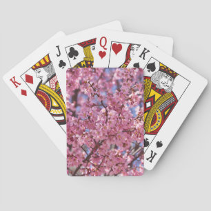 Sakura Pink Cherry Blossom Sky Playing Cards