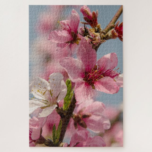 Sakura Splendour: Pink Japanese Flower Photography Jigsaw Puzzle (Vertical)