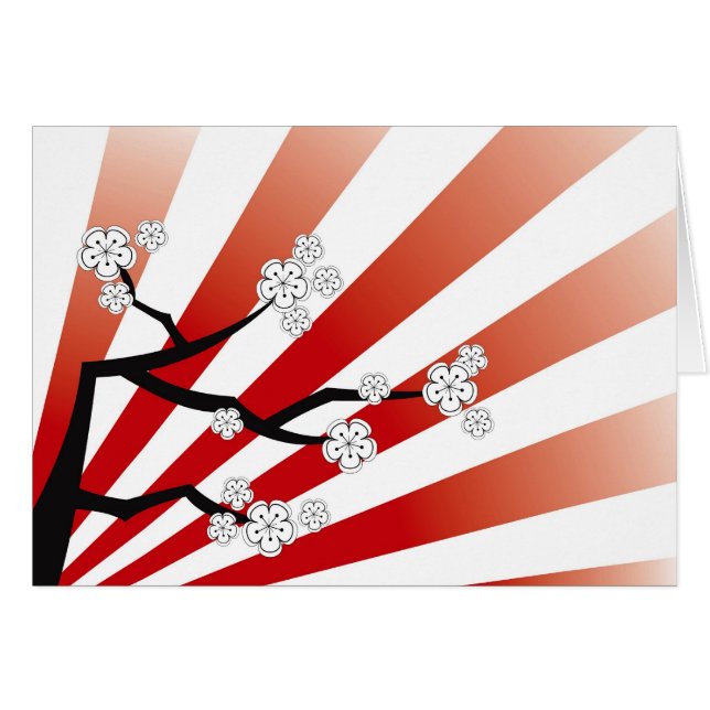 Sakura Sunrise White Cherry Blossoms Flowers Zen (Front Horizontal)