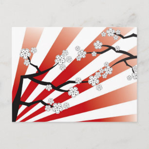 Sakura Sunrise White Cherry Blossoms Flowers Zen Postcard