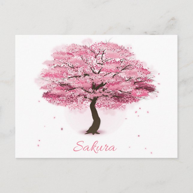 Sakura Tree in Blossom Postcard (Front)