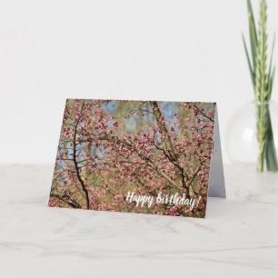 Sakura Tree Is Ready To Bloom In Spring Garden Card