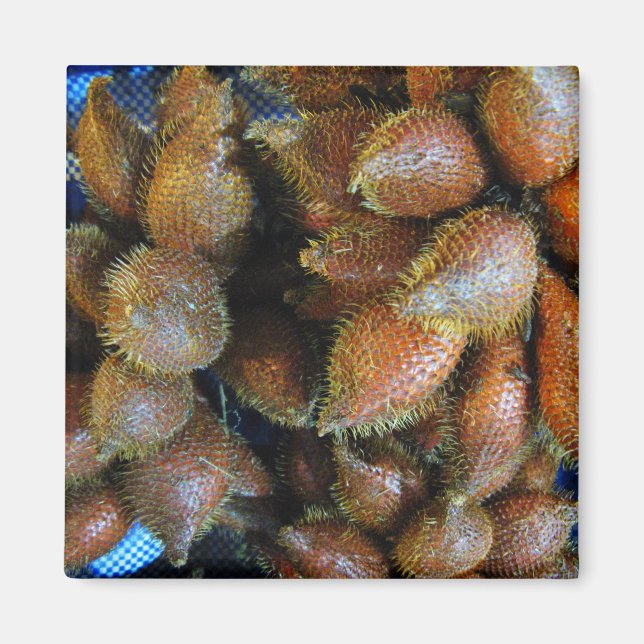 Salak [Snake Fruit] Magnet (Front)