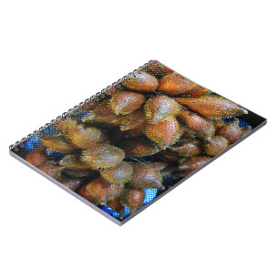 Salak [Snake Fruit] Notebook
