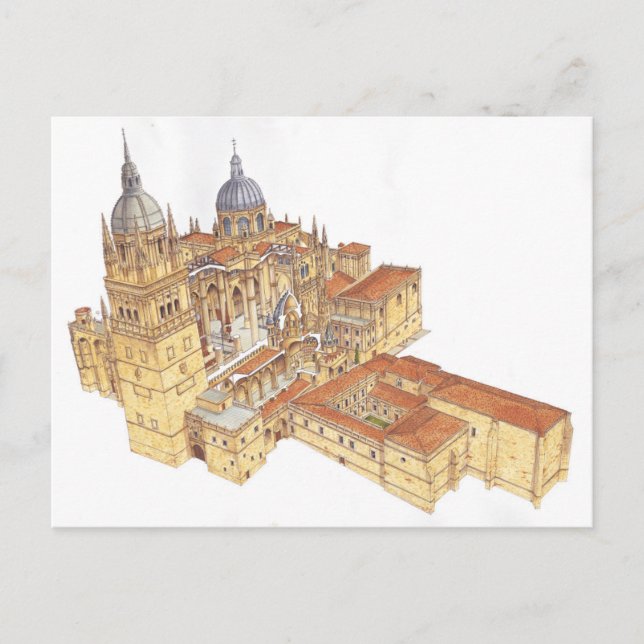 Salamanca Cathedral. Spain Postcard (Front)