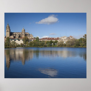 Salamanca Cathedrals and town Poster