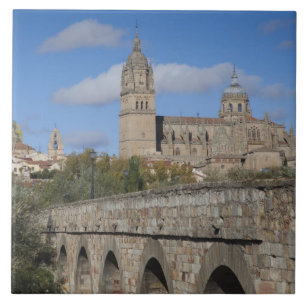 Salamanca Cathedrals, viewed from Puente Romano Ceramic Tile