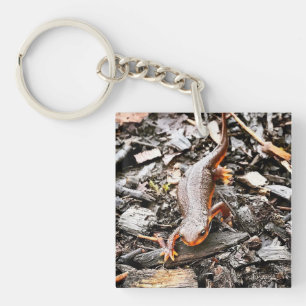 Salamander in the Forest, Oregon Key Ring