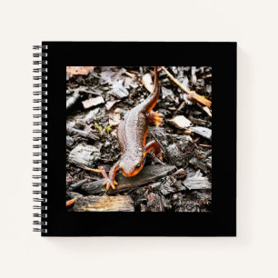 Salamander in the Forest, Oregon Notebook