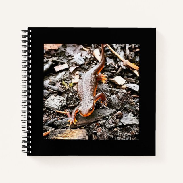 Salamander in the Forest, Oregon Notebook (Front)