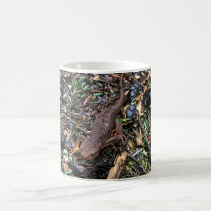 Salamander in the Forest, Washington Coffee Mug