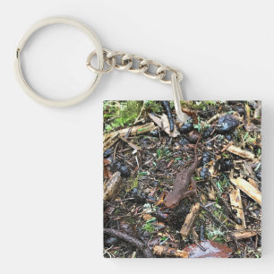Salamander in the Forest, Washington Key Ring