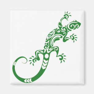 salamandra magnet