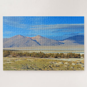 Salar del Huasco, 1014-pc Jigsaw Puzzle