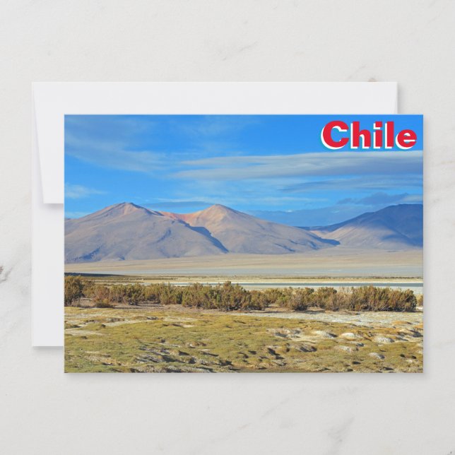 Salar del Huasco, Chile card (Front)