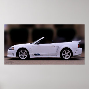SALEEN MUSTANG POSTER