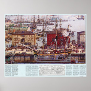 Salem Massachusetts Wharves Diagram Poster