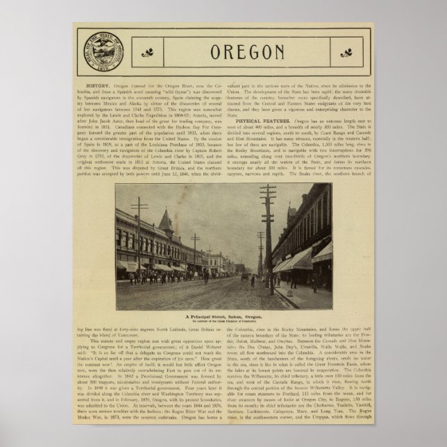 Salem, Or street Poster (Front)