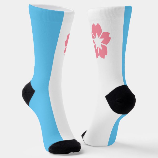 Salem (Oregon) city flag Socks (Angled)