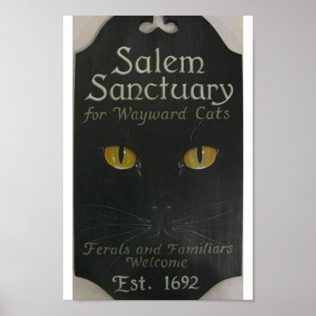 Salem Sanctuary Poster (Front)