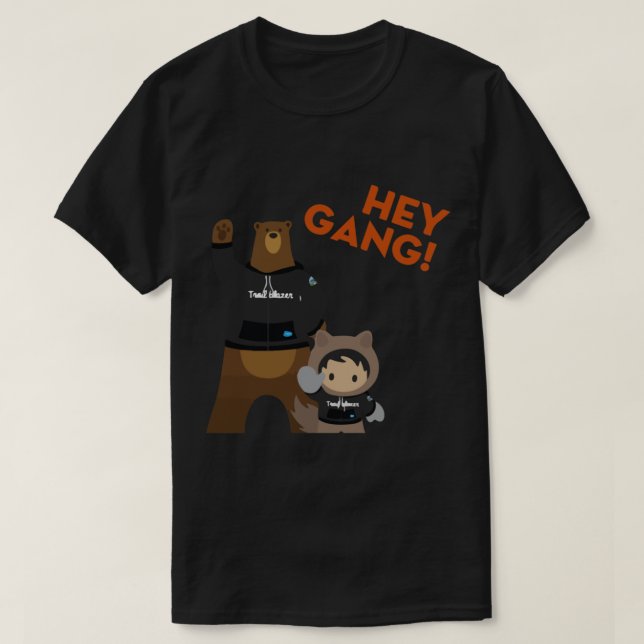 Salesforce Astro - Salesforce trailblazer- Salesfo T-Shirt (Design Front)