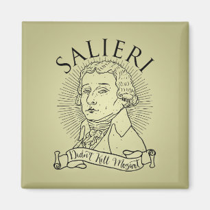 Salieri Didn't Kill Mozart Magnet