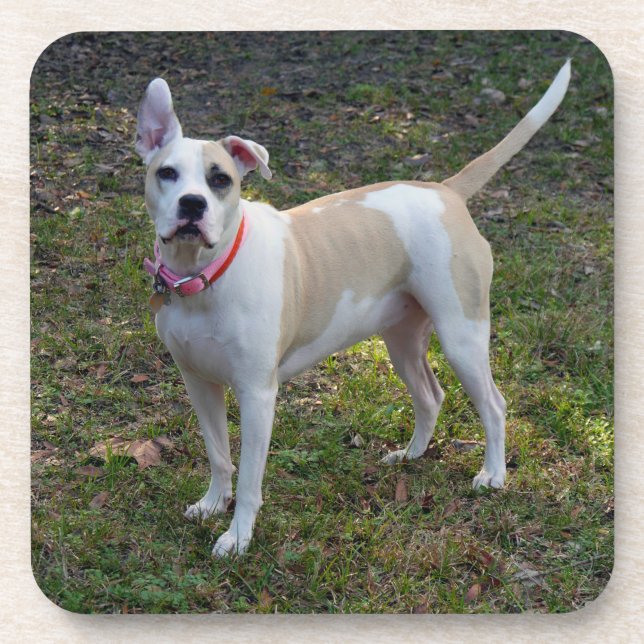 Sally - A Rescued Dog Coaster (Front)