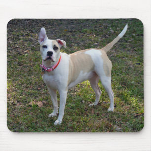 Sally - A Rescued Dog Mouse Pad