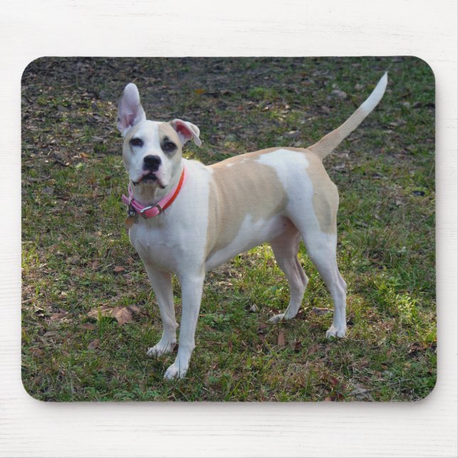Sally - A Rescued Dog Mouse Pad (Front)