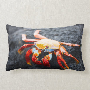 Sally lightfoot crab on a black lava rock lumbar cushion