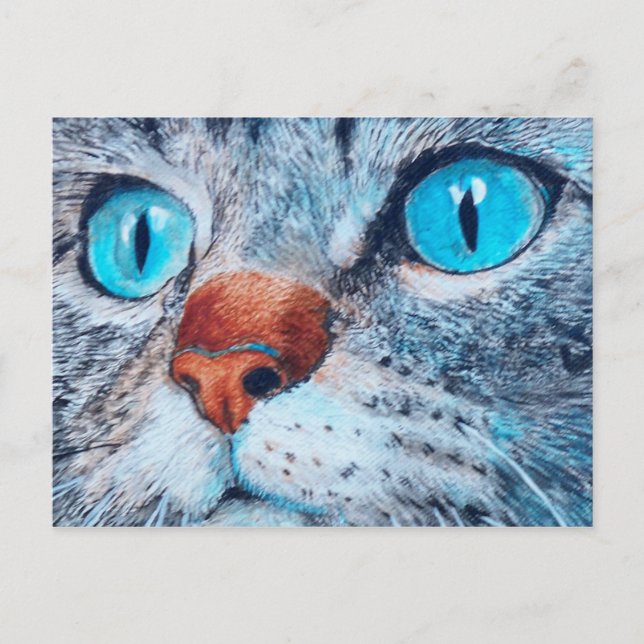 Sally the Blue Eyed Cat Postcard (Front)