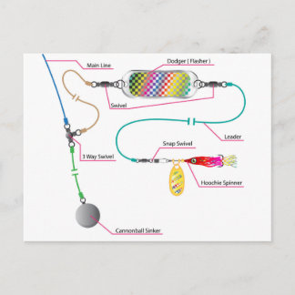 Salmon and saltwater trolling rig with a flasher postcard