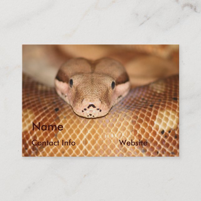 Salmon Boa Business Card (Front)