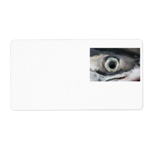 Salmon Eye