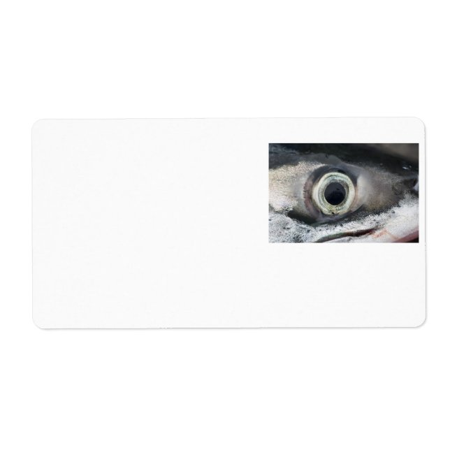 Salmon Eye (Front)