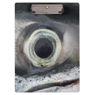 Salmon Eye Clipboard