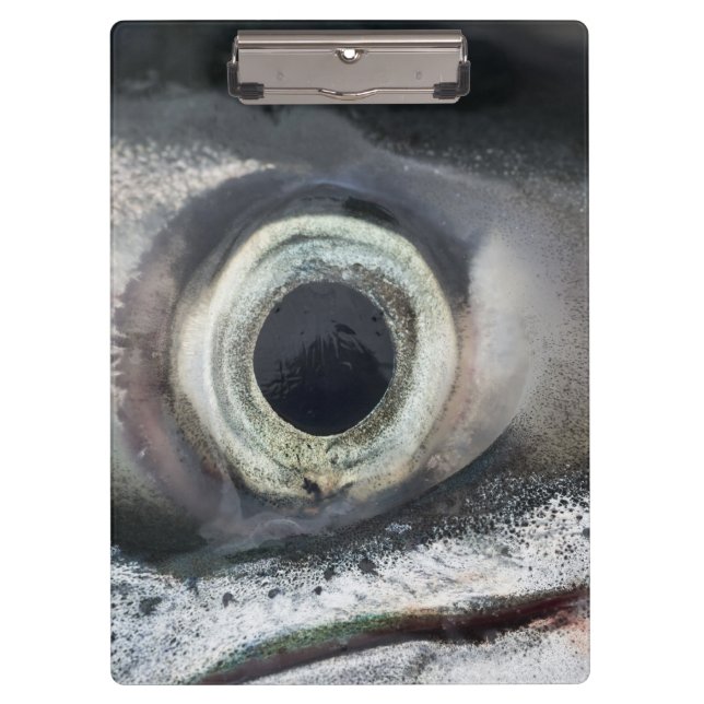 Salmon Eye Clipboard (Front)