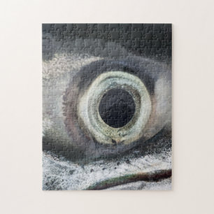 Salmon Eye Jigsaw Puzzle