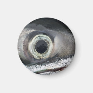 Salmon Eye Magnet