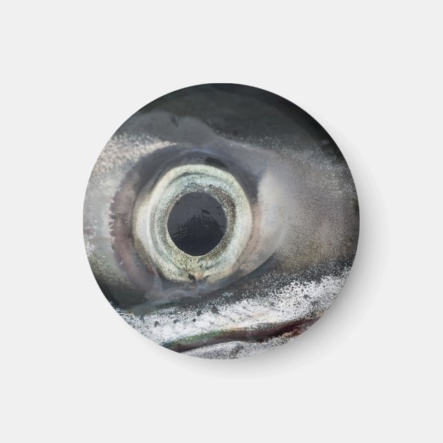 Salmon Eye Magnet (Front)