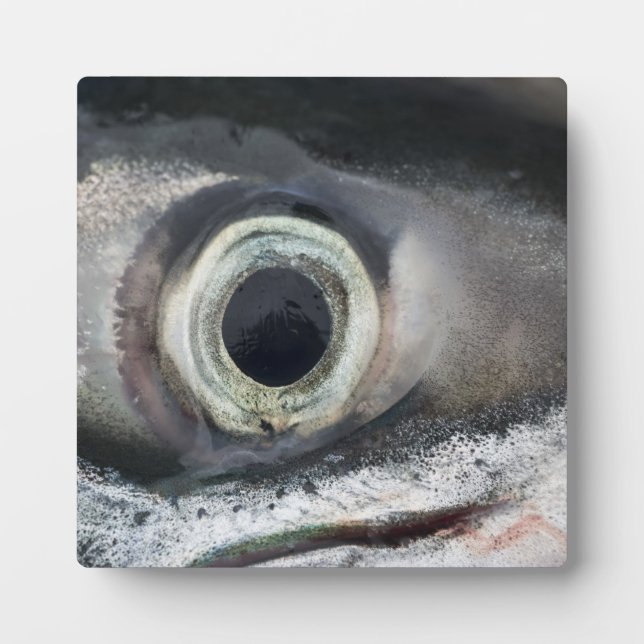 Salmon Eye Plaque (Front)